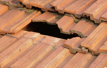roof repair Farringdon