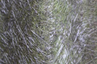 Farringdon fibreglass roof work